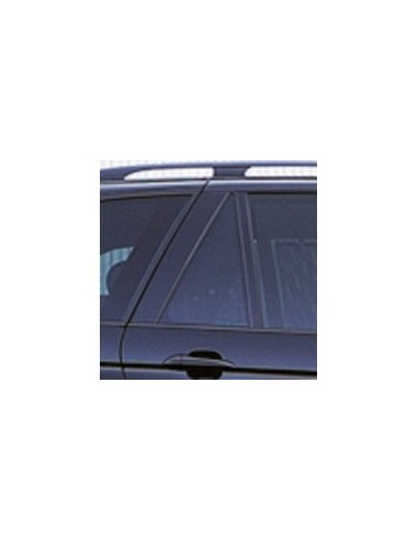 FISSO PORTA POSTERIORE DX FUME'BMW X5 00-07