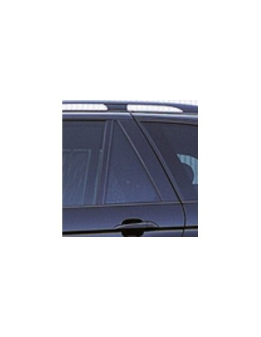 FISSO PORTA POSTERIORE SX FUME'BMW X5 00-07