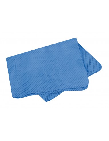 PANNO EASY-WIPE 43X32CM