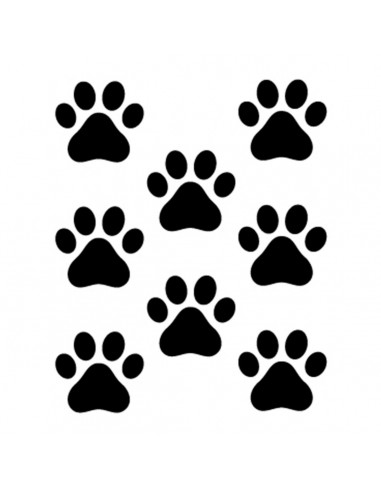 8 ZAMPETTE DI GATTO / 8 CAT'S FINGERPRINTS