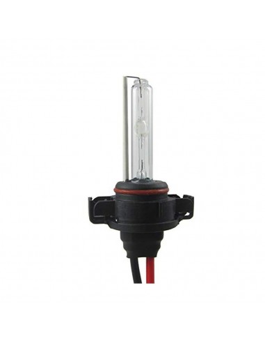 LAMPADINA HID H16 (FASCIO SINGOLO) / H16 HID BULB