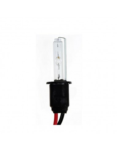 LAMPADINA HID H7 (FASCIO SINGOLO) / H7 HID BULB (S