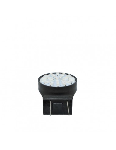 SR.LAMPADINA T20 A 8 LED BIANCHI