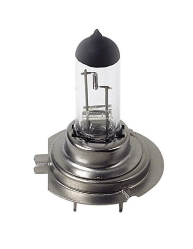 LAMPADINA H7 55W