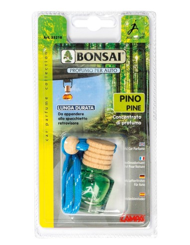 BONSAI CLASSIC PINO